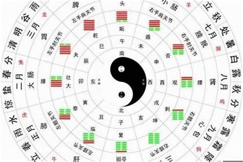 八字图|八字格局